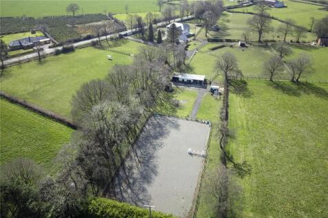 Grounds