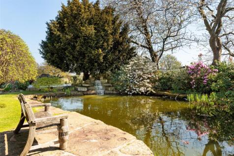 Pond