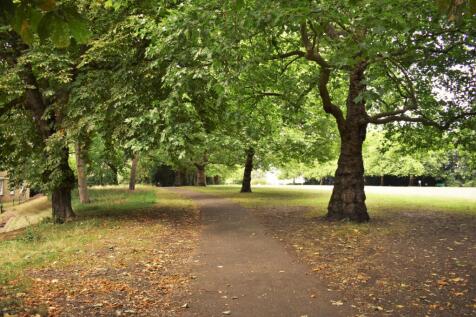 Park (1)