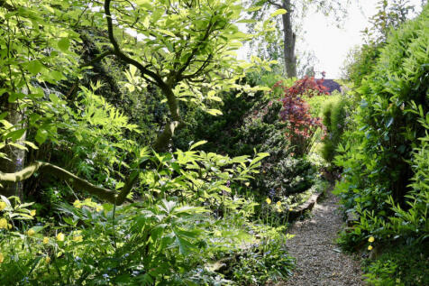 Property Image 28