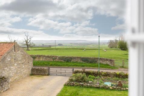 South View View-2.jpg