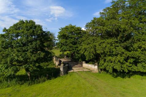 11. Kirby Hall-54 EDIT.jpg
