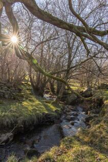 High Gill Beck Farm External-15.jpg