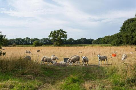 Plantation Farm-07.jpg