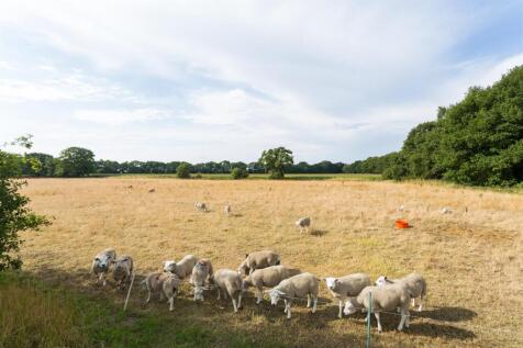 Plantation Farm-09.jpg