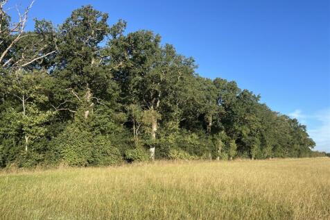 Wilkinsons Wood.JPG