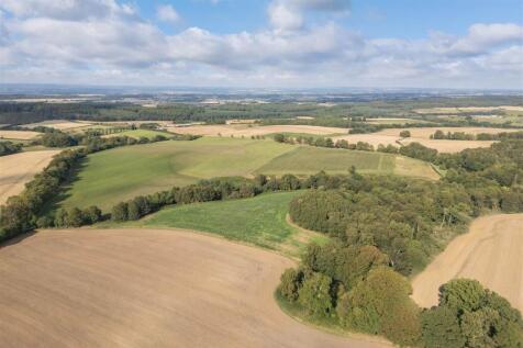 Treetops Aerial-6.jpg