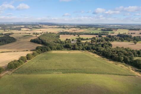 Treetops Aerial-8.jpg
