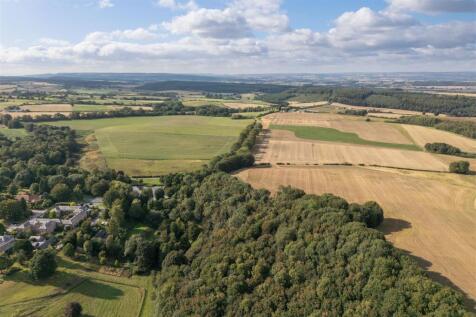 Treetops Aerial-4.jpg