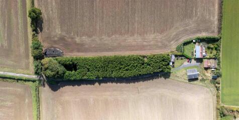 East Farm Aerial-9.jpg