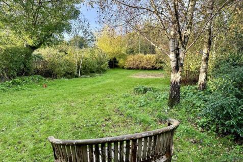 Garden 1.JPG