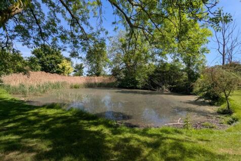 Pond