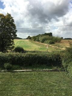 Garden 2