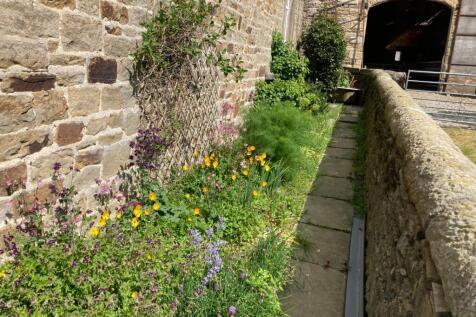 Side Garden