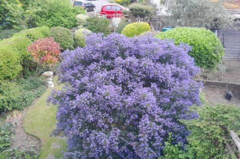 20250501_141400.jpg