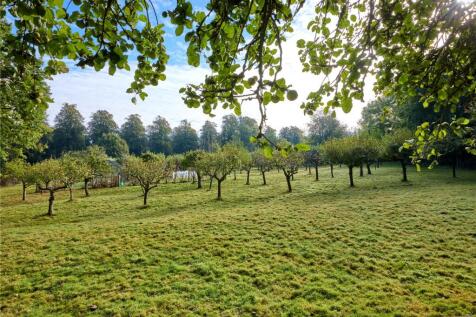 Orchard
