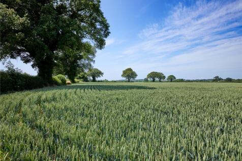 Arable Land