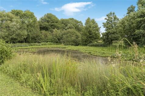 Pond