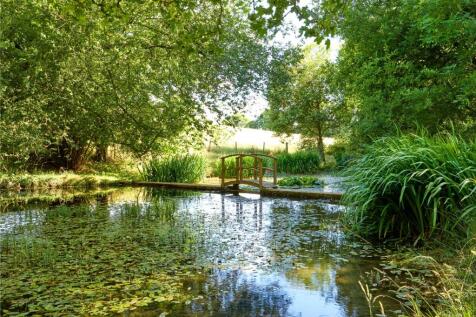 Pond