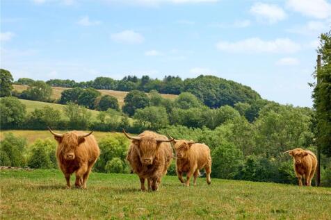 Grazing