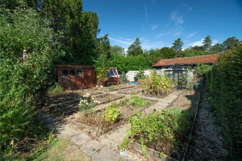 Vegetable Garden