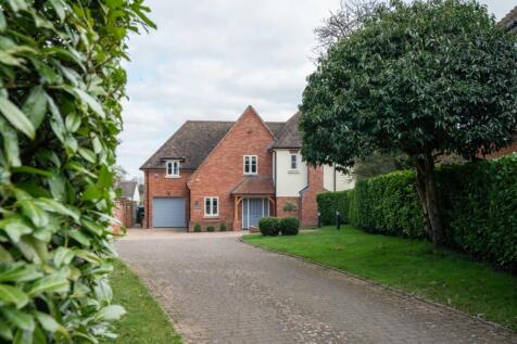 Driveway and Garden