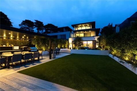 Rear At Dusk