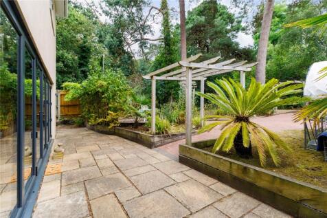 Back Garden