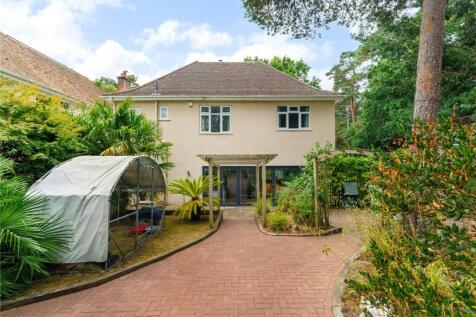 Back Garden