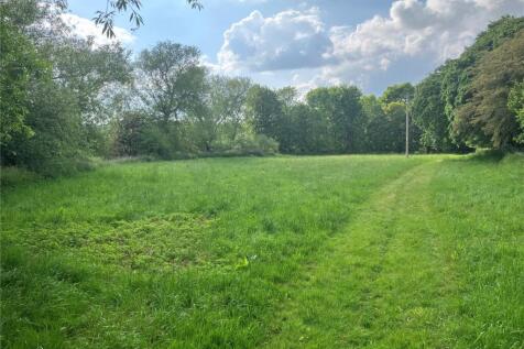 Field