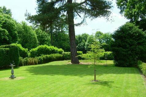 Garden In Summer