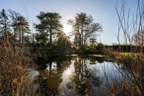 Pond