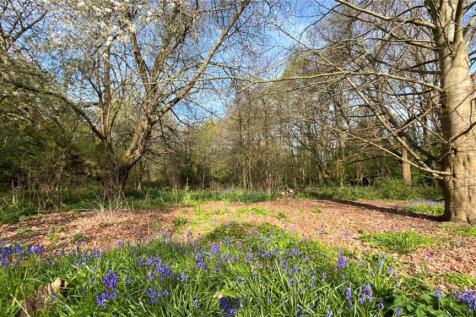 Woodland