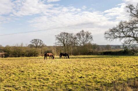 Field