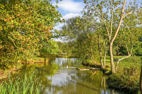 Pond