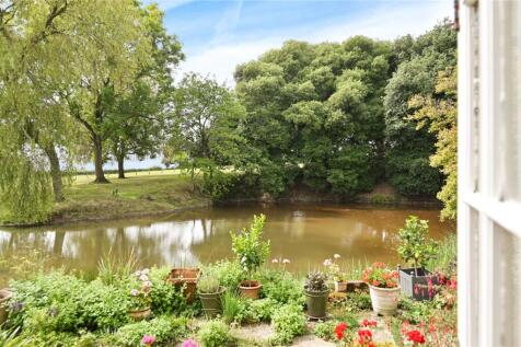 Pond