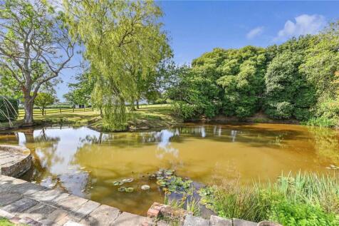 Pond