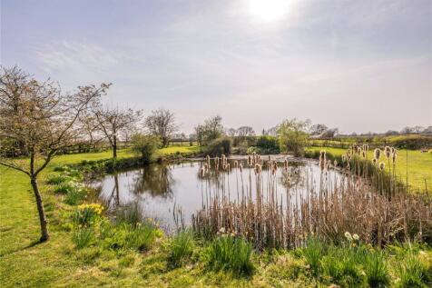 Pond