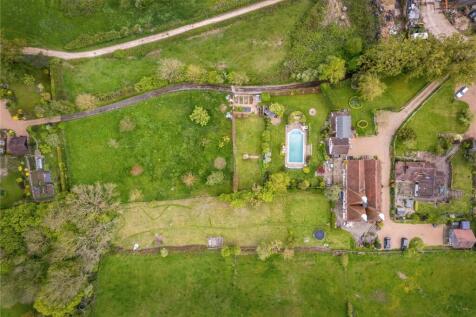 Birds Eye