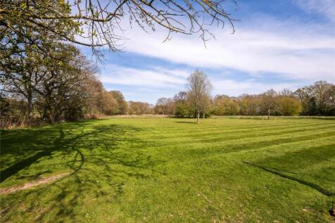 Field