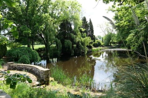 Pond