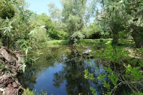 Pond