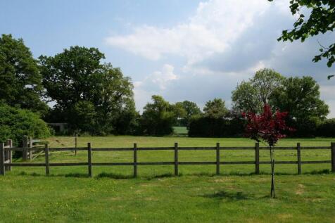 Field