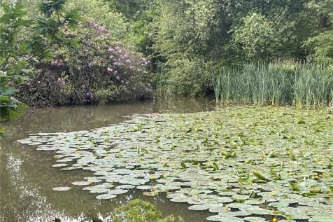 Pond
