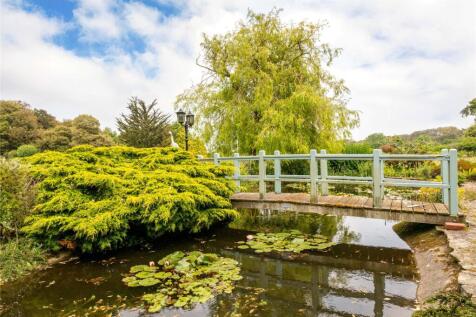 Pond