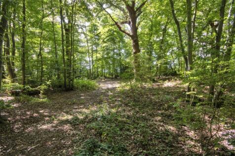 Woodland