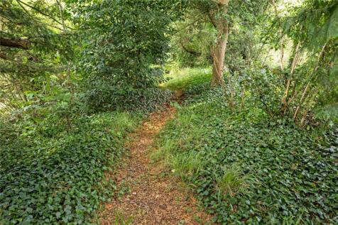 Wooded Area