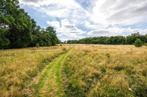 Field