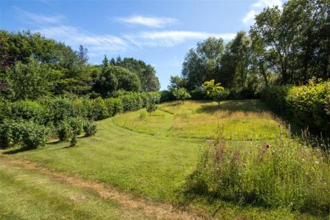 Shared Meadow