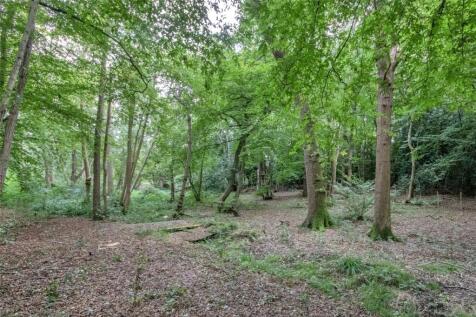 Woodland